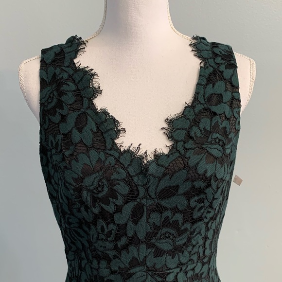 Eliza J Tulip Hem Lace Dress - Picture 8 of 16